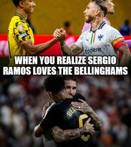 Bellinghams memes