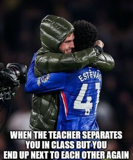 Separates memes